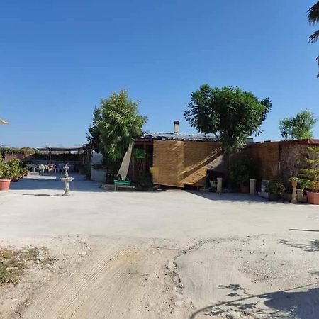 La Casa In Campagna Di Ottavia อเลซิโอ ภายนอก รูปภาพ