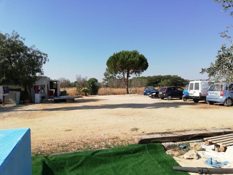 La Casa In Campagna Di Ottavia อเลซิโอ ภายนอก รูปภาพ
