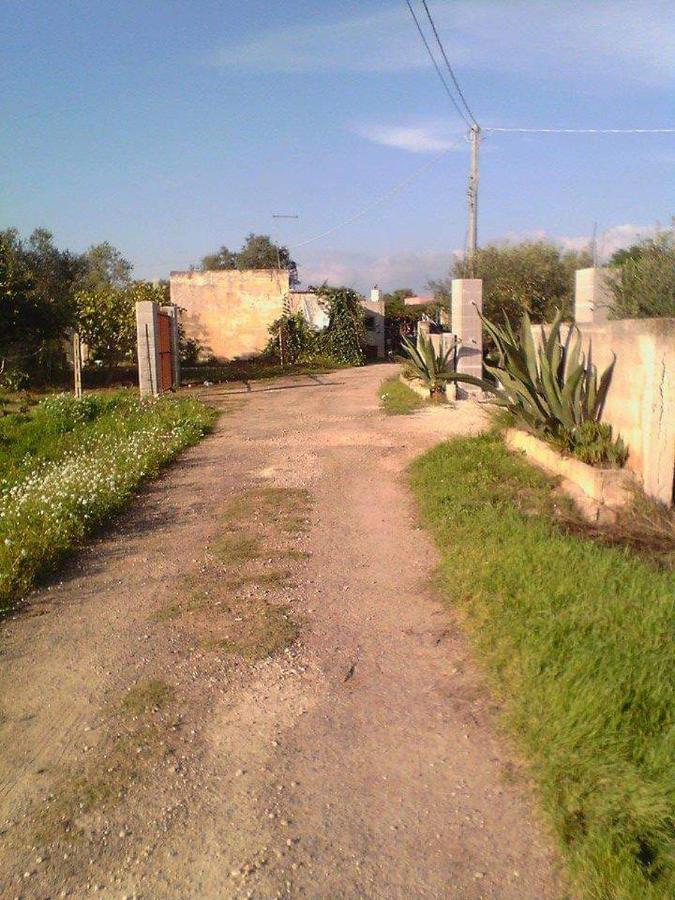 La Casa In Campagna Di Ottavia อเลซิโอ ภายนอก รูปภาพ