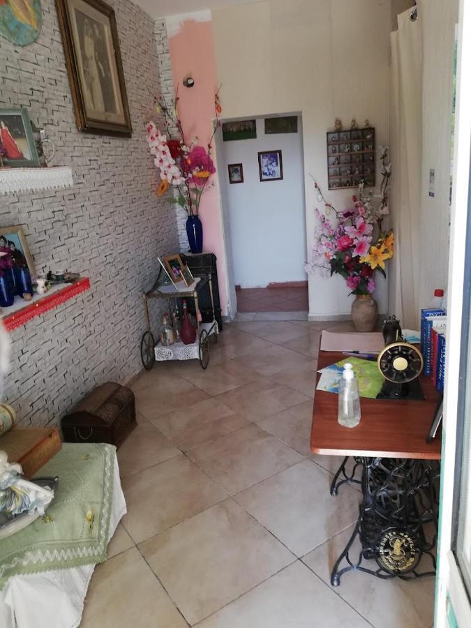 La Casa In Campagna Di Ottavia อเลซิโอ ภายนอก รูปภาพ