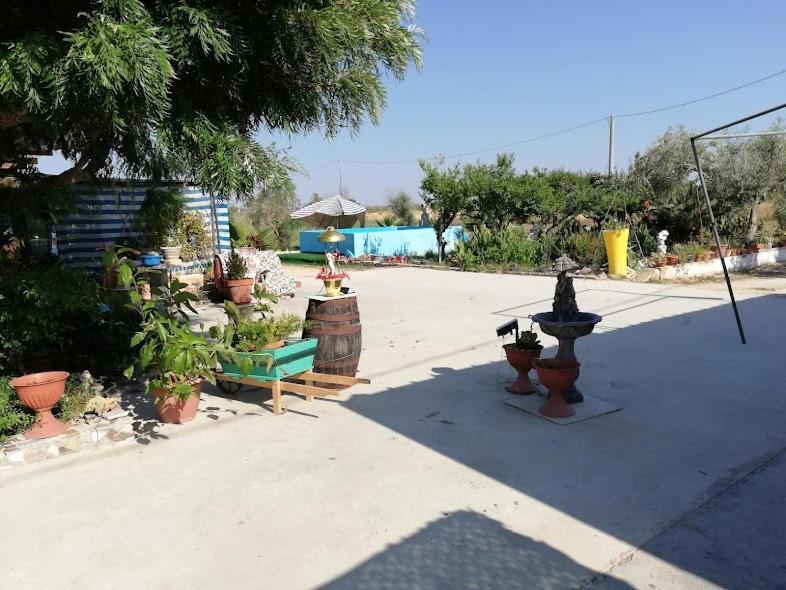La Casa In Campagna Di Ottavia อเลซิโอ ภายนอก รูปภาพ